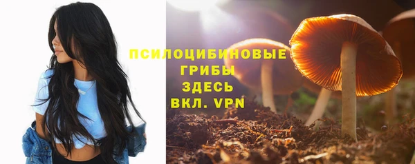 марихуана Весьегонск